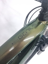 GENIUS eRIDE 910, MIS. L, 2021