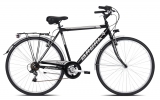 Bicicletta mod. Trendy, 7vel, 28