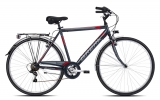 Bicicletta mod. Trendy, 7vel, 28